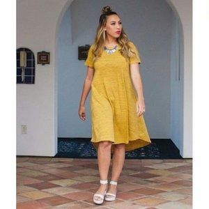 LulaRoe Carly Dress
